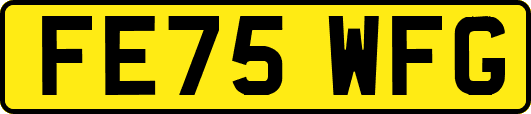 FE75WFG