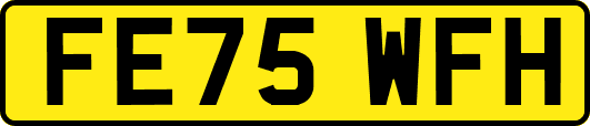 FE75WFH