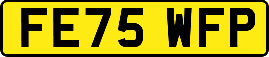 FE75WFP