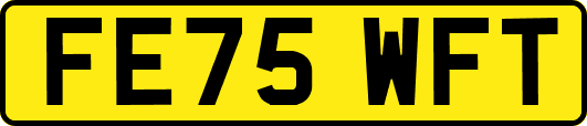 FE75WFT