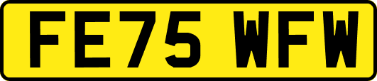 FE75WFW