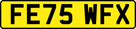 FE75WFX