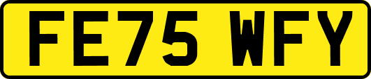 FE75WFY