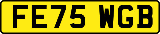 FE75WGB