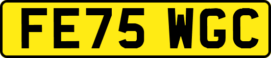 FE75WGC