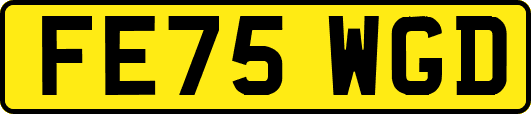 FE75WGD