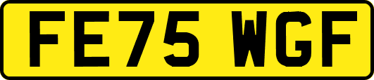 FE75WGF