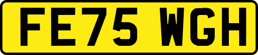 FE75WGH