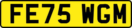 FE75WGM