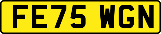 FE75WGN