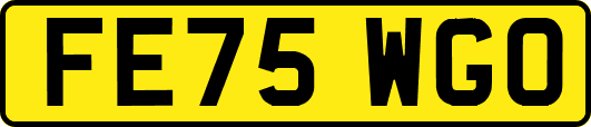 FE75WGO