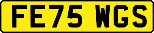 FE75WGS