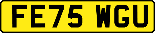 FE75WGU