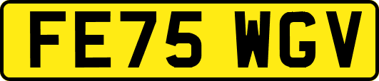 FE75WGV