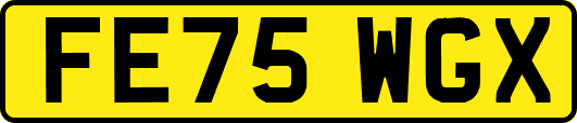 FE75WGX