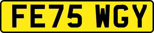 FE75WGY