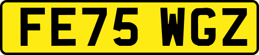 FE75WGZ