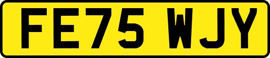 FE75WJY