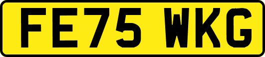 FE75WKG