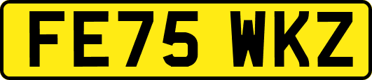FE75WKZ