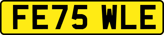 FE75WLE