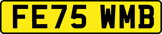 FE75WMB