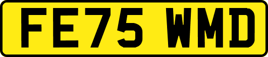 FE75WMD