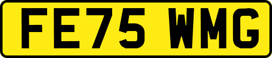 FE75WMG