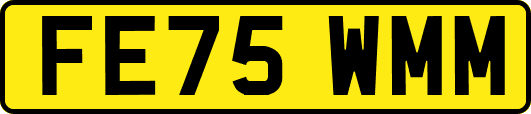 FE75WMM