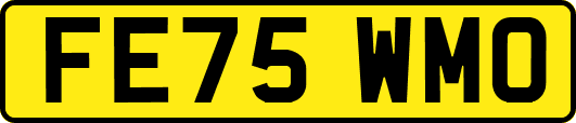 FE75WMO