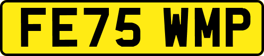 FE75WMP