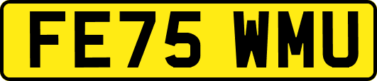FE75WMU
