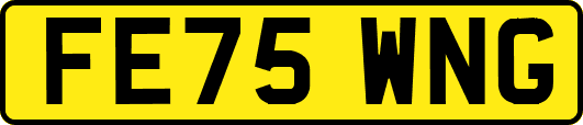 FE75WNG