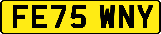 FE75WNY
