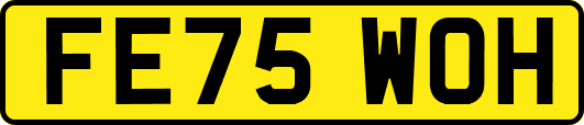 FE75WOH