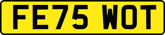FE75WOT