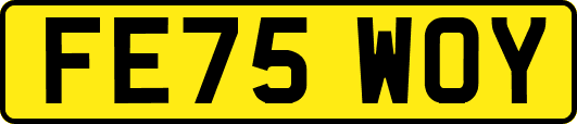 FE75WOY
