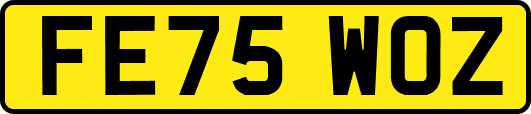 FE75WOZ