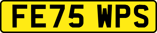 FE75WPS