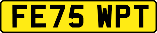 FE75WPT