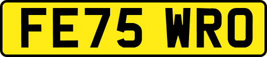 FE75WRO