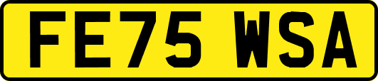 FE75WSA