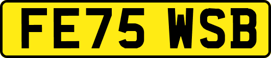 FE75WSB