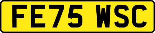 FE75WSC