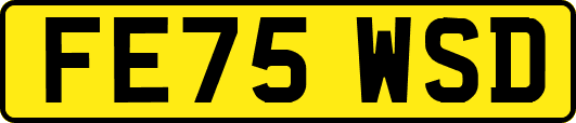FE75WSD