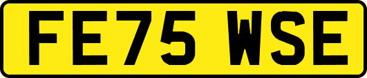 FE75WSE