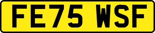FE75WSF
