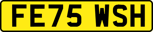 FE75WSH
