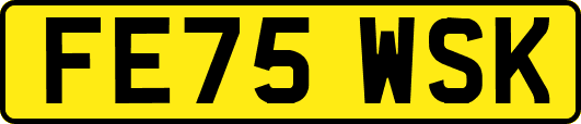FE75WSK