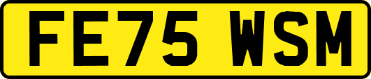 FE75WSM